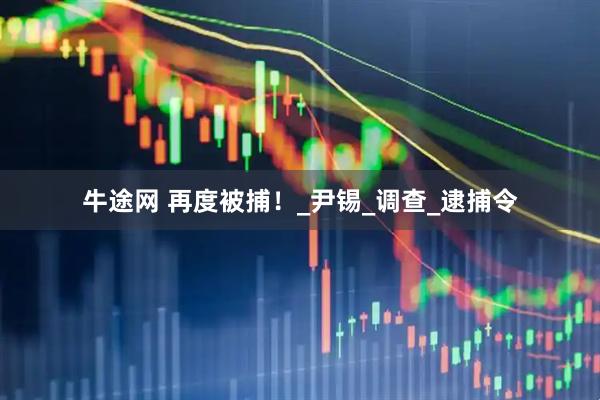 牛途网 再度被捕！_尹锡_调查_逮捕令