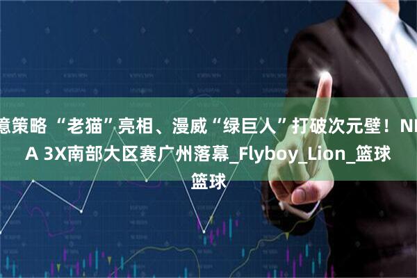 億策略 “老猫”亮相、漫威“绿巨人”打破次元壁！NBA 3X南部大区赛广州落幕_Flyboy_Lion_篮球