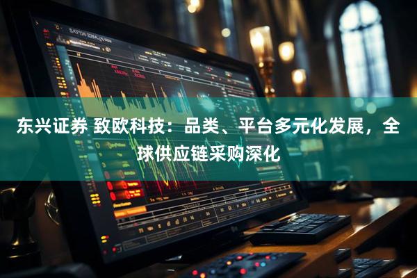 东兴证券 致欧科技：品类、平台多元化发展，全球供应链采购深化