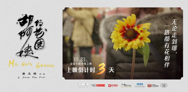 91微操盘 倒计时3天上映！纪录电影《胡阿姨的花园》曝海报