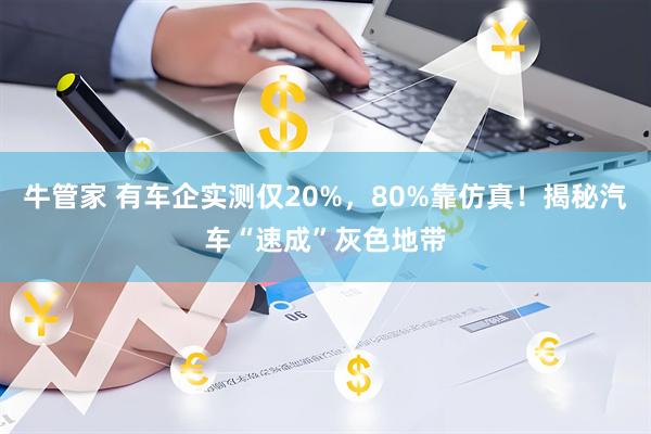 牛管家 有车企实测仅20%，80%靠仿真！揭秘汽车“速成”灰色地带