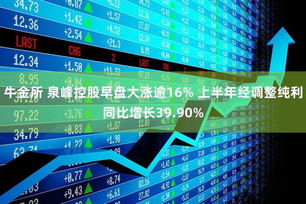 牛金所 泉峰控股早盘大涨逾16% 上半年经调整纯利同比增长39.90%